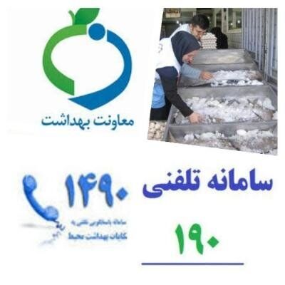 ۷ تن مواد غذایی و نوشیدنی فاسد معدوم شد
