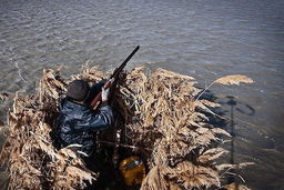 دستگیری 2 شکارچی غیرمجاز در چهارمحال و بختیاری