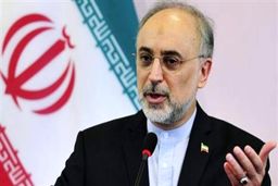 صالحی:پیش بینی های لازم در قبال تصمیم آمریکایی ها/نشست کمیته نظارت بر برجام برگزار شد