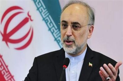 صالحی:پیش بینی های لازم در قبال تصمیم آمریکایی ها/نشست کمیته نظارت بر برجام برگزار شد