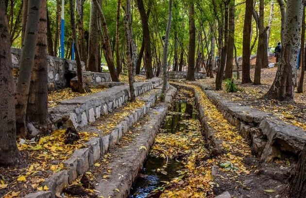 عکس/ زیبایی‌های پاییز در طبیعت شازند
