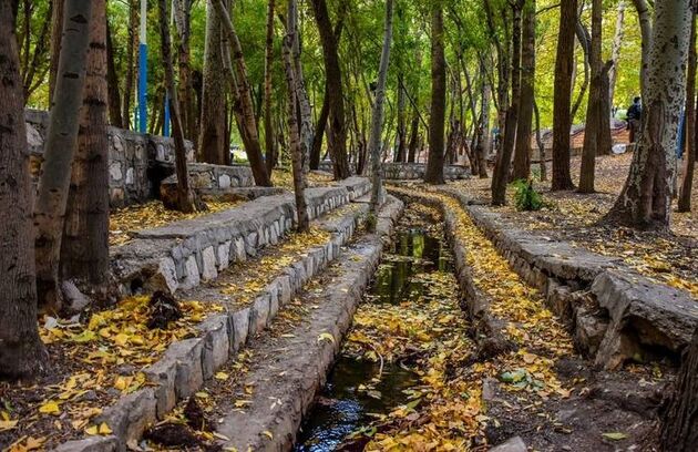 عکس/ زیبایی‌های پاییز در طبیعت شازند
