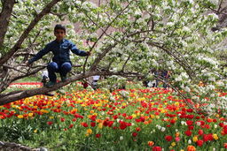 راهنمای جمع‌وجور برای ایرانگردی در تابستان