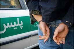 سارق منزل در بالای درخت دستگیر شد