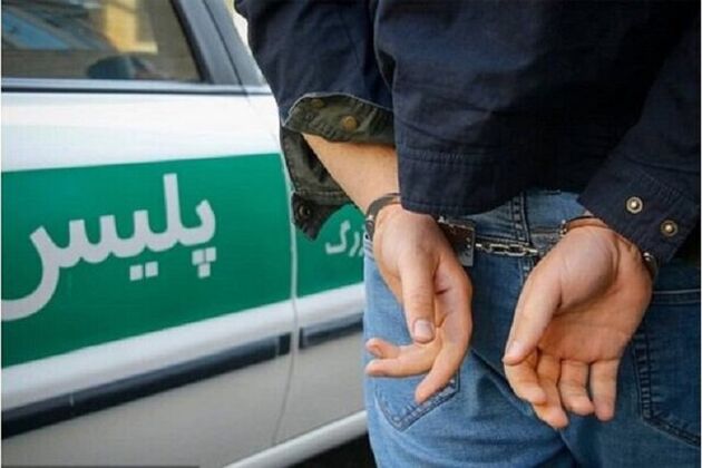 سارق منزل در بالای درخت دستگیر شد
