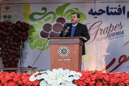 ویزای ١٩٠ کشور از ارومیه صادر می شود/باید از کشاورزان حمایت کنیم
