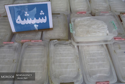 طرح جمع آوری معتادان متجاهر