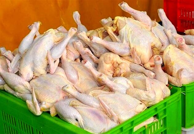 تاکید ستاد تنظیم بازار بر جلوگیری از افزایش قیمت مرغ در نقاط مختلف کشور
