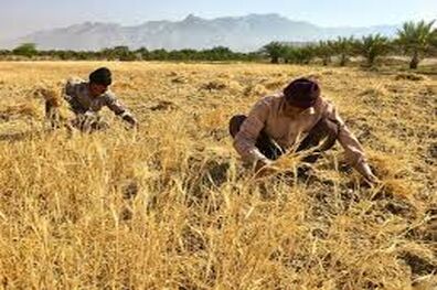  ارز به واردات کالاهای ورود موقت فعلا تخصیص نمی یابد