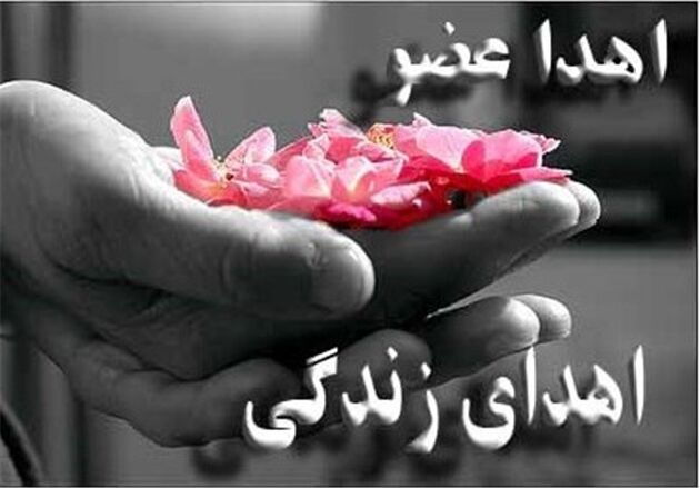نجات زندگی 4 بیمار با اهدای عضو