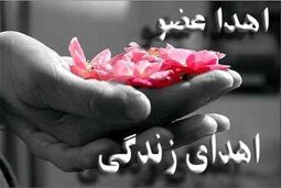 نجات زندگی 4 بیمار با اهدای عضو