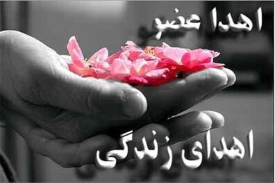 نجات زندگی 4 بیمار با اهدای عضو