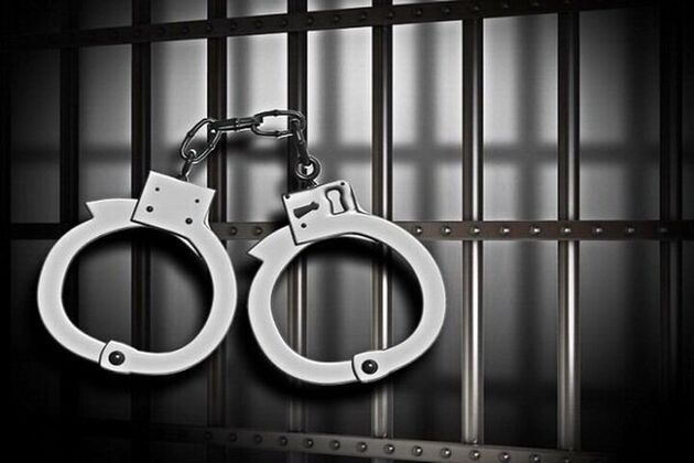 
مالخران سابقه دار در دام پلیس