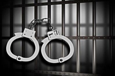 
مالخران سابقه دار در دام پلیس