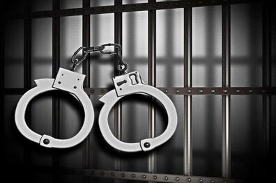 
مالخران سابقه دار در دام پلیس