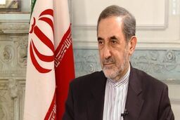 دیدار نوری مالکی با ولایتی در تهران