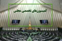 دستور کار کمیسیون‌های تخصصی مجلس مشخص شد/ رسیدگی به قانون نظام وظیفه