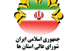 دشتی مطلق با ۴۳ رای سخنگوی شورای عالی استانها شد