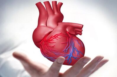 
چگونه قلب سالم داشته باشیم؟