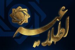 تأمین تقاضای بازار ارز، پرقدرت ادامه دارد/ حجم تقاضای روزانه بازار رسمی اسکناس بین ۵ تا ۸ میلیون دلار 