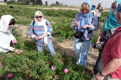 آمارهای متناقض مسئولان از خسارت های کرونا به صنعت گردشگری 