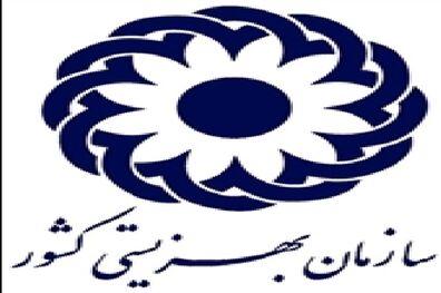  مسئولیت کارخانه های اتومبیل سازی در ضایعات نخاعی پس از تصادف