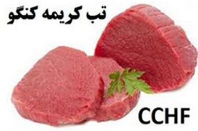 بسیج امکانات بهداشت ودرمان گلستان برای پیشگیری ازتب کِریمه کنگو