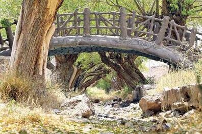 180 منبع آبی روستاهای استان یزد خشک شده یا در حال خشک شدن است