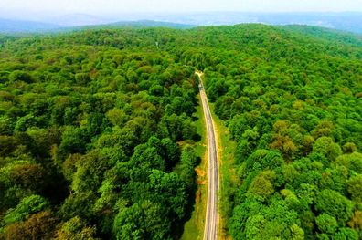قدرت جذب دی‌اکسیدکربن در گیاهان افزایش یافته است

