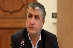 از رفتار سیاسی و غیرحرفه‌ای آژانس در افشای گزارش‌های محرمانه متاسف هستیم