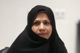 آخوندی در نشست امروز فراکسیون امید حضور دارد 