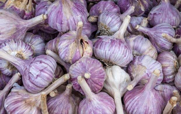 از فواید و عوارض مصرف سیر چه می‌دانید؟
