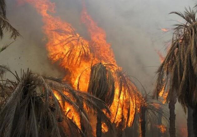 220 نخل خرما در پی وقوع آتش‌سوزی در سراوان به "خاکستر" تبدیل شد