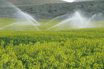 دلیل اجرا نشدن آبیاری نوین در برخی مناطق استان مرکزی، اقتصادی نیست
