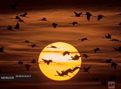 عکسهای برتر ماه دسامبر از نگاه خبرگزاری آسوشیتد پرس