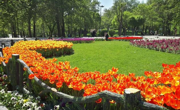 توزیع افطاری ساده در برخی بوستان‌های تهران
