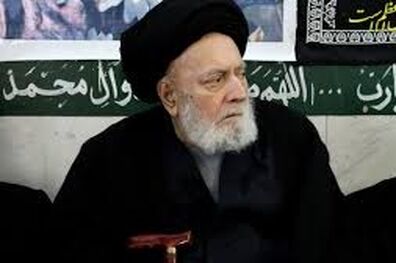 «سید محمد نقی شاهرخی» درگذشت