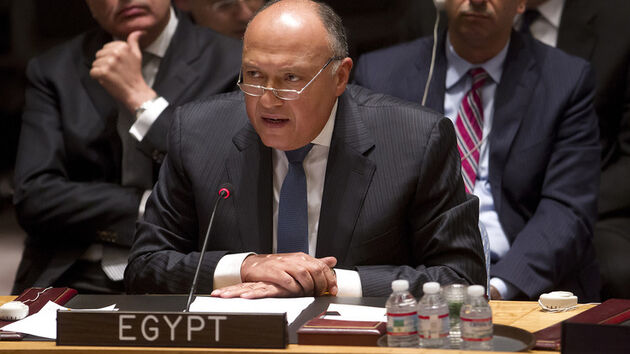 خشم عربستان از مصر به دلیل حمایت از پیش نویس روسی