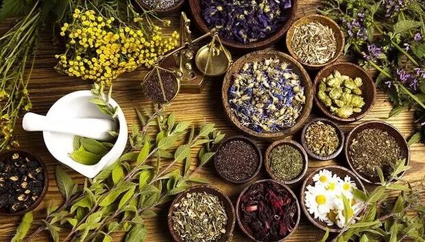 ۱۰ گام بلند برای استفاده از ظرفیت‌های ملی صنعت گیاهان دارویی