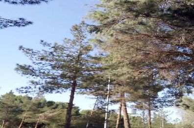 افزایش محسوس 10 تا 15 درجه ای دما در سیستان و بلوچستان آغاز شد