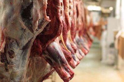 صادرات دام زنده عامل گرانی گوشت قرمز