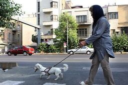 برخورد پلیس با تخلفات و مظاهر علنی فساد از جمله سگ گردانی