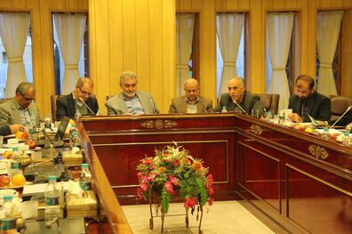 به  هماهنگی بیشتر سازمان های دولتی برای توسعه بخش معادن استان نیاز داریم