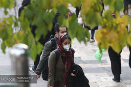 کارمندان در گروه‌های حساس و پرخطر دور کار شدند