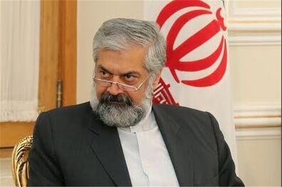 قائم مقام وزیر خارجه بازنشسته شد