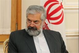قائم مقام وزیر خارجه بازنشسته شد