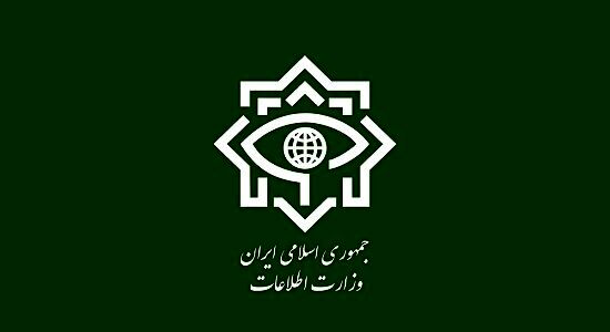 وزارت اطلاعات تبعه سوئدی را به اتهام جاسوسی بازداشت کرد