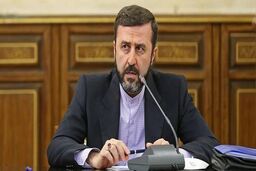 واکنش غریب آبادی به اظهارات بورل درباره حکم اعدام جمشید شارمهد