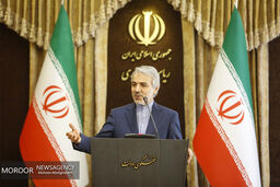 نشست خبری سخنگوی دولت آغاز شد