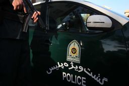 ضارب مامور حافظ امنیت دستگیر شد